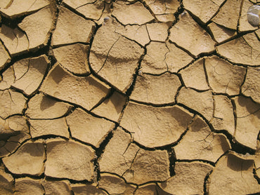 WHAT YOU NEED TO KNOW TO SOFTEN AND NOURISH DRY SKIN