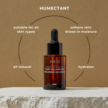 Skin Hydration Essentials Kit