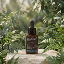 Hyaluronic Acid and Plant Collagen Serum